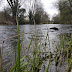 Fooling Trout On the 1st of April. Whats working on the rivers at the moment
