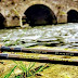 Choosing a New Fly Rod?  Pick up the Syndicate Pipeline and Join the family