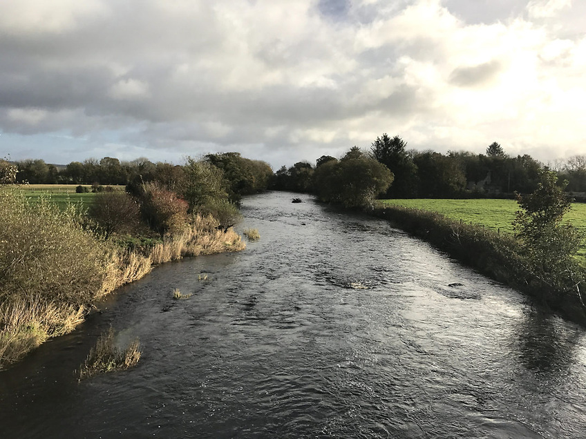 Loughs Agency Issues Statement on River Derg Pollution Incident