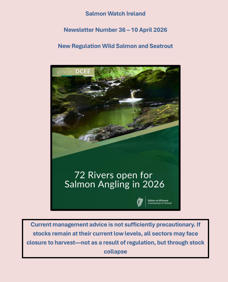 Newsletter Number 36 – 10 April- Response to New Salmon Regulations