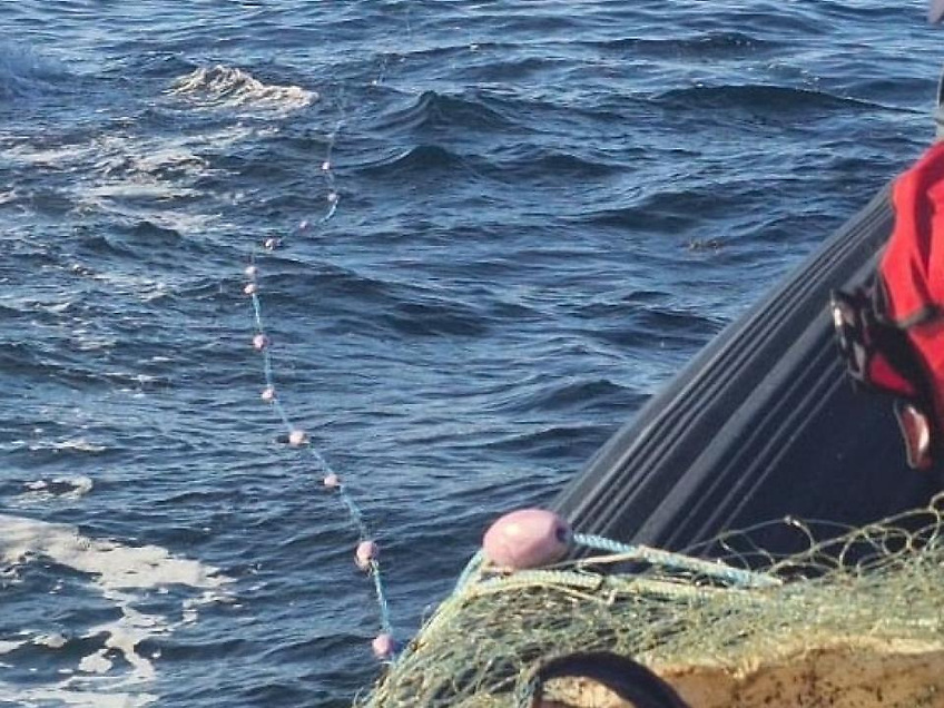 Clare Island Man Fined for Illegal Salmon Netting